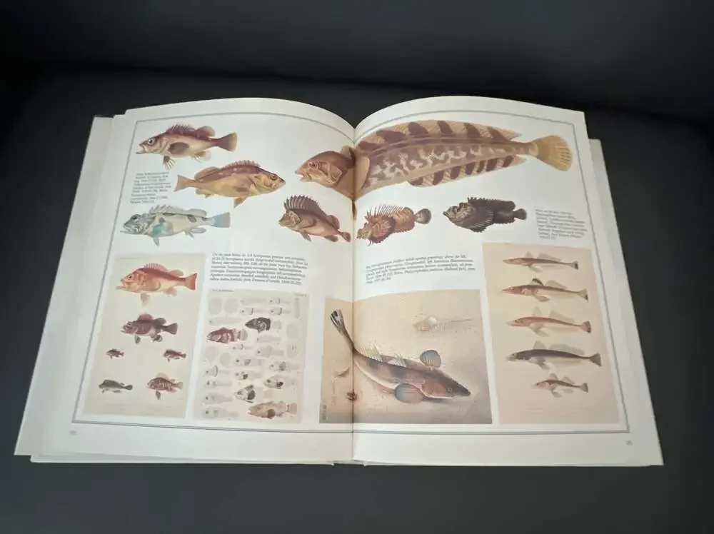 Fish of the World By Hiroshi Aramata